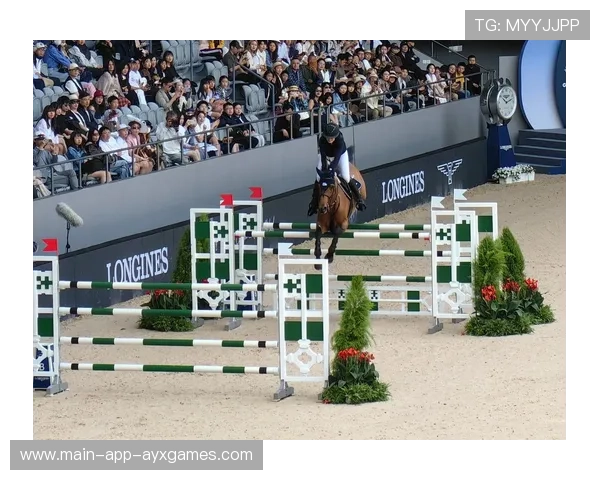 马术冠军与爱马互动视频爆红,被誉为“人马合一”典范 马术冠军与爱马互动视频爆红,被誉为“人马合一”典范