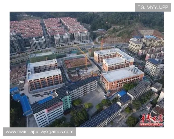 羽毛球赛事职业化人才培养体系优化 羽毛球赛事职业化人才培养体系优化